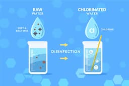 Optimizing the Chlor-Alkali Process: Best Practices for Cost Reduction and Product Quality