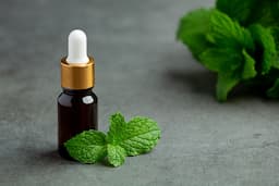 Menthol vs. Mint: Which One is Best for Oral Care, Skincare, and Flavoring Applications?