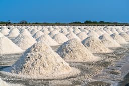 Where to Buy Sodium Hydroxide in Bulk: Suppliers, Manufacturers & Producer